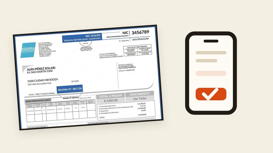 Vista previa: Cómo pagar la factura de EDEMSA