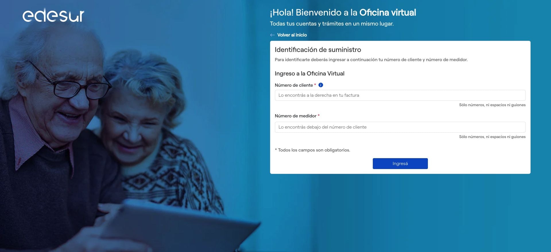 Captura de la página pública de Edesur que solicita el número de cliente y el número de medidor, con indicaciones para ubicarlos en la factura